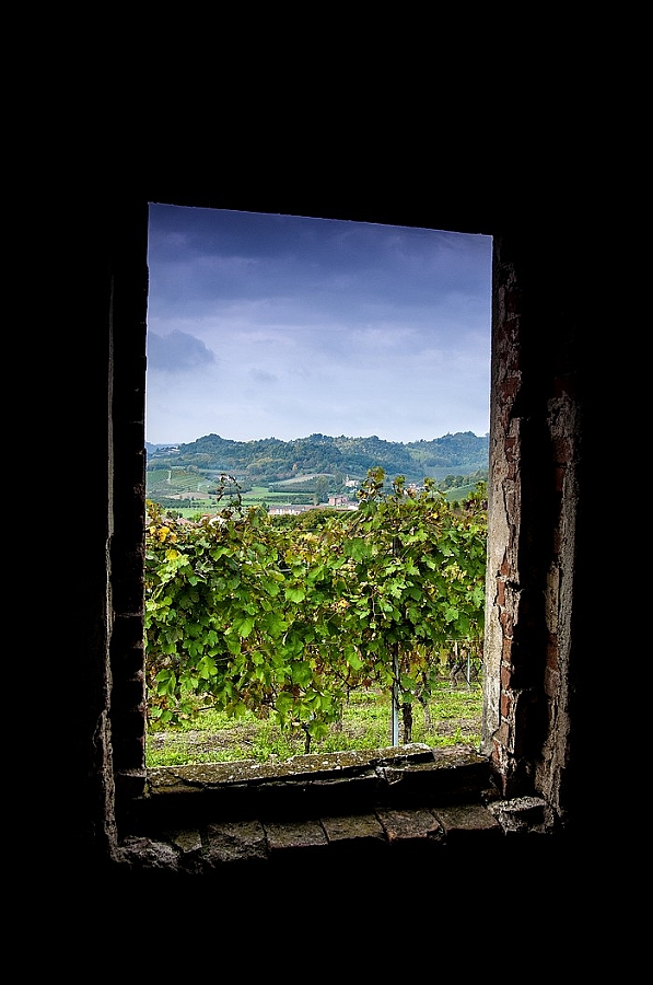 Varacalli Francesco - Una finestra sul Roero.jpg
